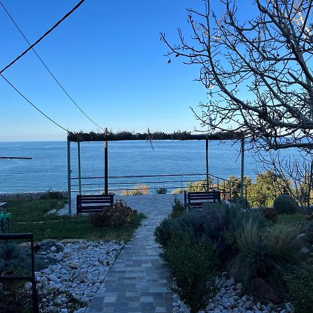 Villa Leonidas Koutsoupia Kokkino Nero Bagian luar foto