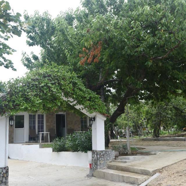 Villa Leonidas Koutsoupia Kokkino Nero Bagian luar foto